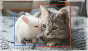 A cat and a rabbit boxed by Google Lens